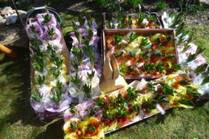 Unsere gesammelten Grüße (Quelle: Privat)